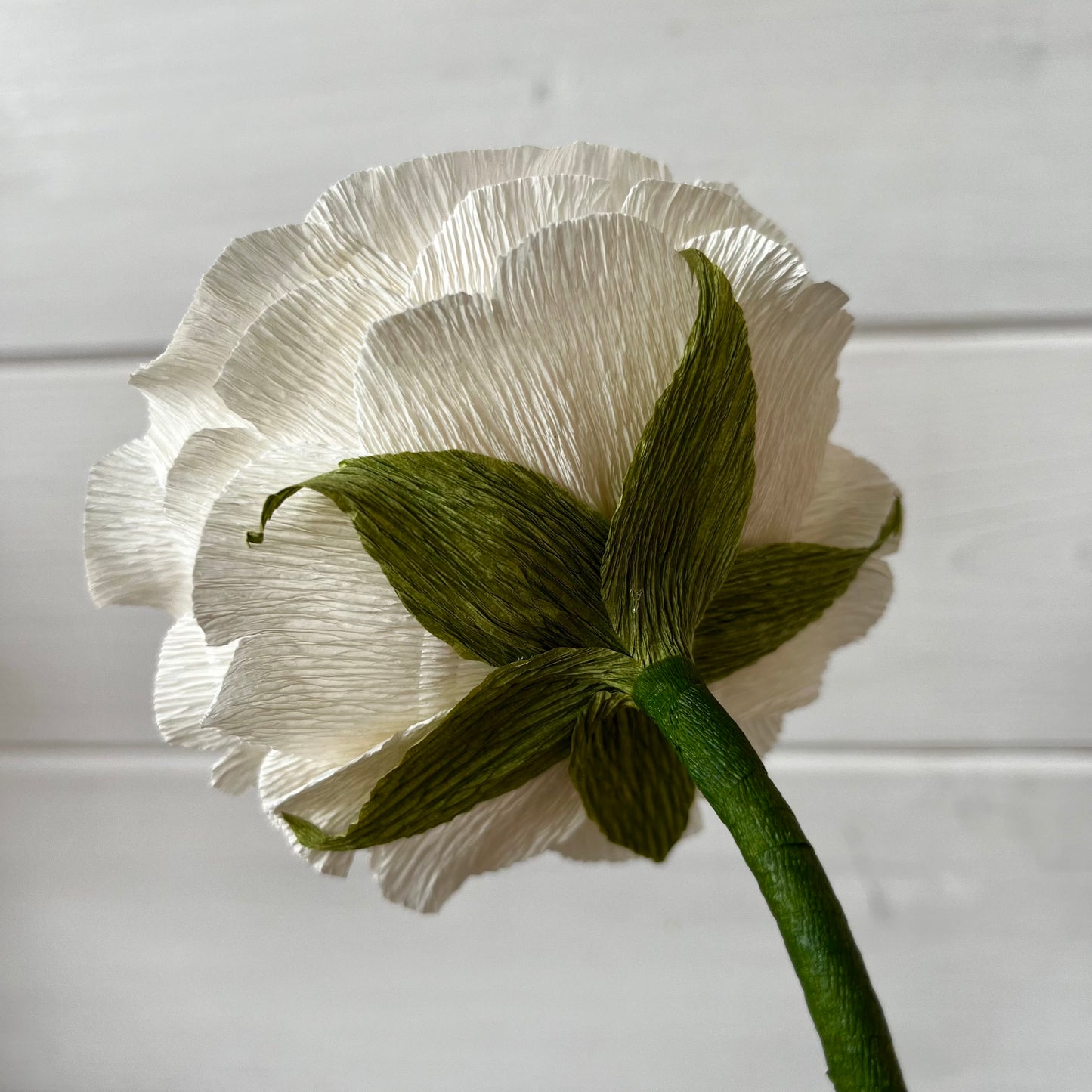 Pink & Cream Crepe Paper Rose